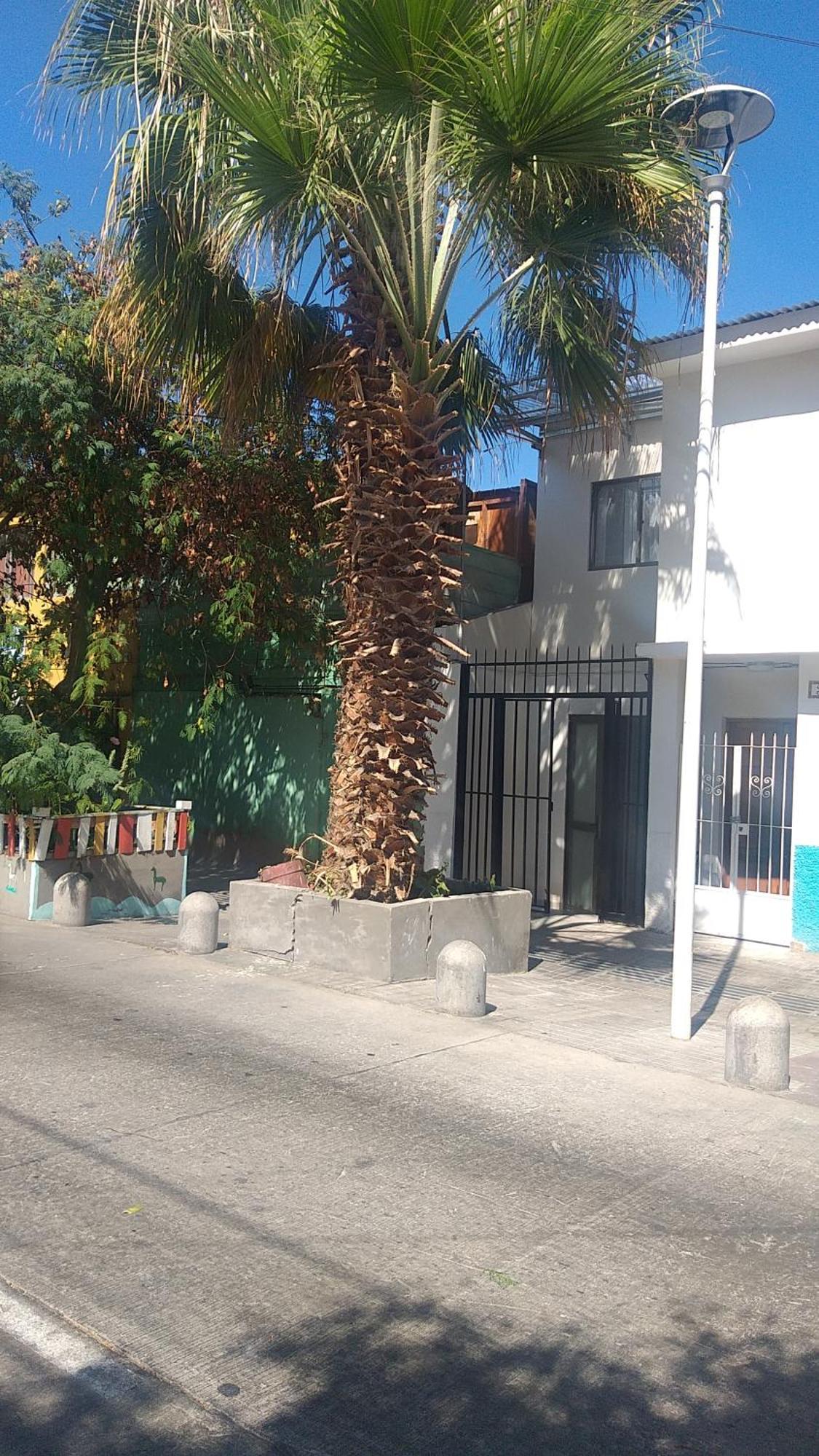 Hostal La Ruca Antofagasta Eksteriør bilde